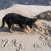 jethro 5-03-2008 (57)