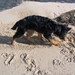 jethro 5-03-2008 (58)