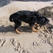 jethro 5-03-2008 (59)