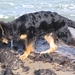 jethro 5-03-2008 (6)