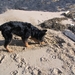 jethro 5-03-2008 (60)