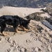 jethro 5-03-2008 (61)