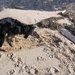 jethro 5-03-2008 (62)