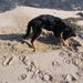 jethro 5-03-2008 (65)