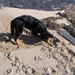 jethro 5-03-2008 (67)