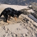 jethro 5-03-2008 (68)