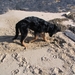 jethro 5-03-2008 (70)