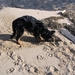jethro 5-03-2008 (71)