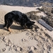 jethro 5-03-2008 (74)