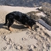 jethro 5-03-2008 (75)