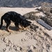 jethro 5-03-2008 (76)
