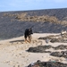 jethro 5-03-2008 (87)