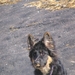 jethro 5-03-2008 (91)