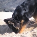 jethro 5-03-2008 (96)