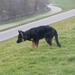 jethro 8-03-2008 (1)