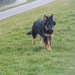 jethro 8-03-2008 (2)