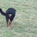 jethro 8-03-2008 (3)