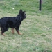 jethro 8-03-2008 (4)