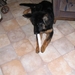 jethro 9-03-2008 (1)