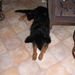 jethro 9-03-2008 (2)