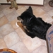 jethro 9-03-2008 (3)