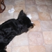 jethro 9-03-2008 (4)