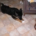 jethro 9-03-2008