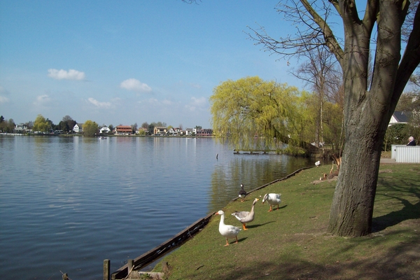 Donkmeer 05-04-09 004