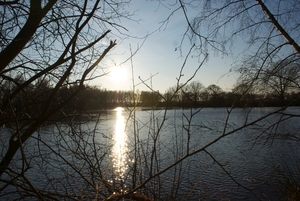 DSC02221