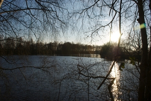 DSC02222