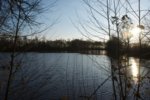 DSC02224