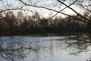DSC02229