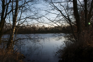 DSC02231