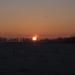 DSC02470