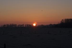DSC02470