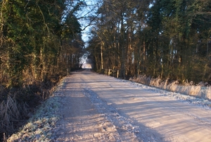 DSC02497