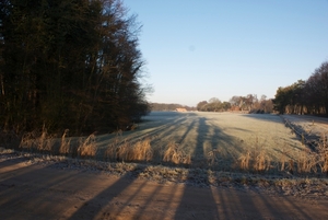 DSC02499