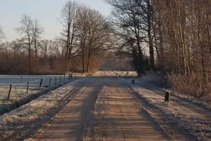 DSC02500