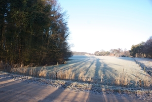 DSC02502