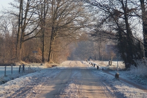 DSC02506