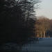 DSC02507