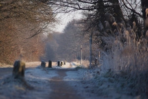 DSC02512