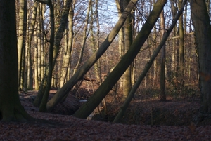 DSC02514