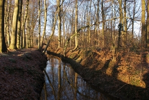 DSC02516