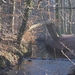 DSC02520