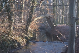 DSC02520
