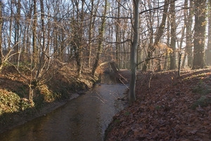 DSC02521