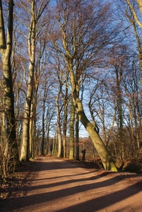 DSC02527