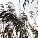 DSC02800