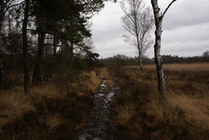 DSC03286